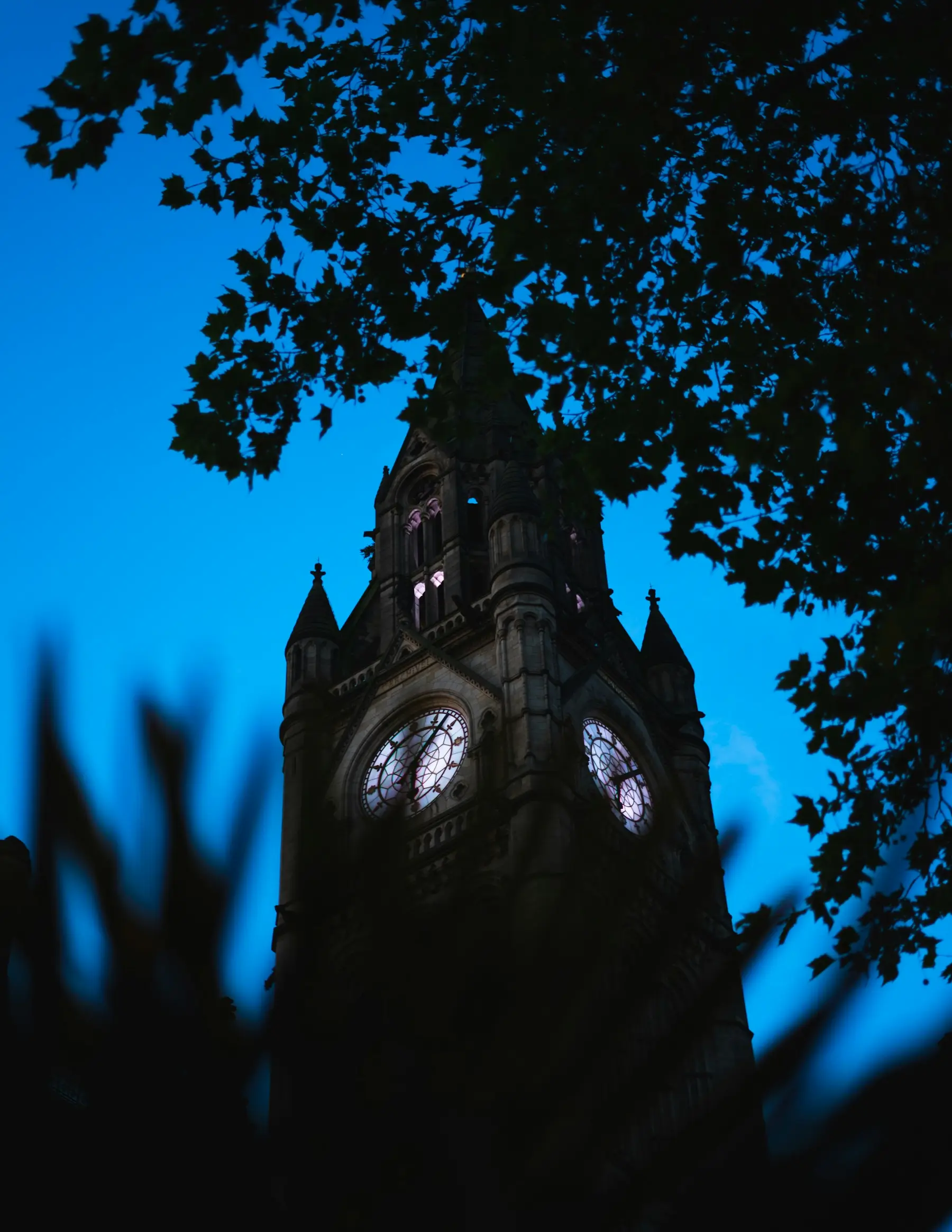 The clock tower of Manchester Town Hall in silhouette against a deep blue morning sky